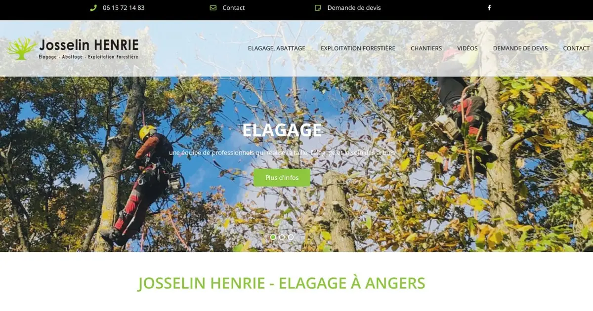 Site internet vitrine Josselin Henrie
