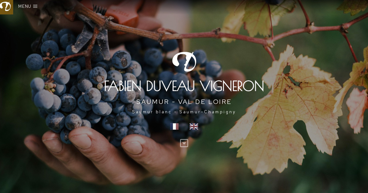Site internet vitrine Fabien Duveau Vigneron
