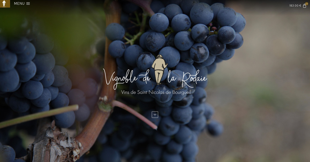 Site internet vitrine Vignoble de la Rodaie